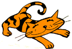 Bengal Stretched