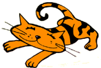 Bengal Stretched
