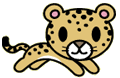 Bengal Cat