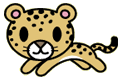Bengal Cat