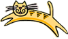 Orange Bengal Cat