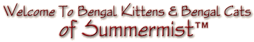Welcome To..Bengal Kittens & Bengal Cats of Summermist